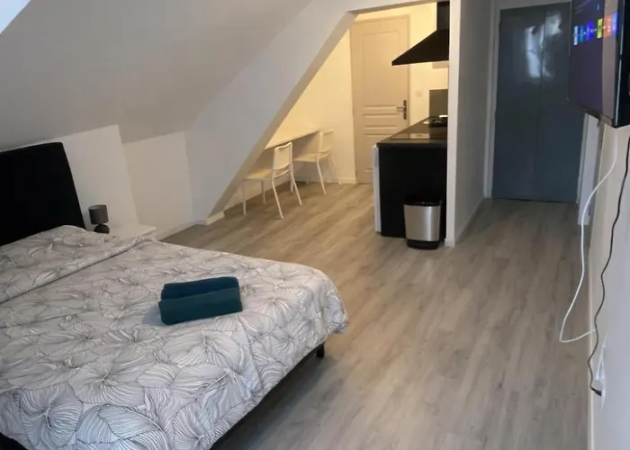 Daire Ezra Moderne Proche Centre Et Gare Troyes